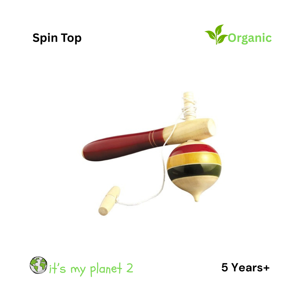Spin Top