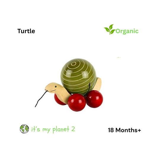 Turtle